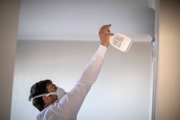 Best Certified Mold Removal  in Hillsboro, KS