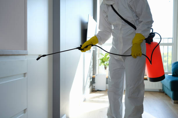 Reliable Hillsboro, KS Mold Removal Solutions