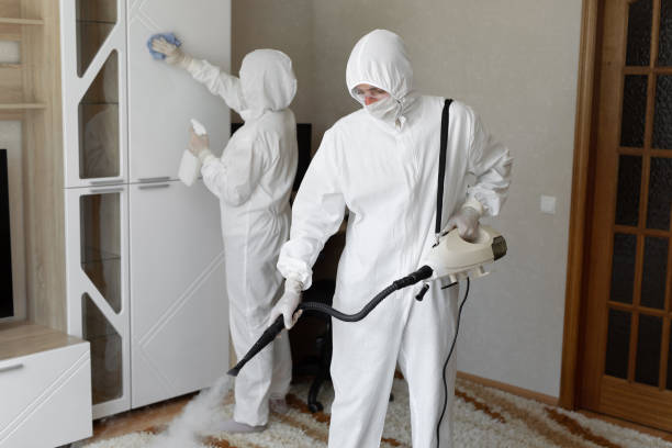 Mold Testing and Removal in Hillsboro, KS