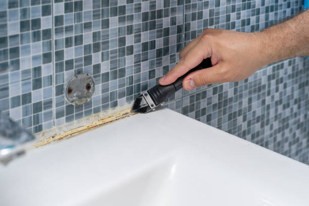 Certified Mold Removal in Hillsboro, KS