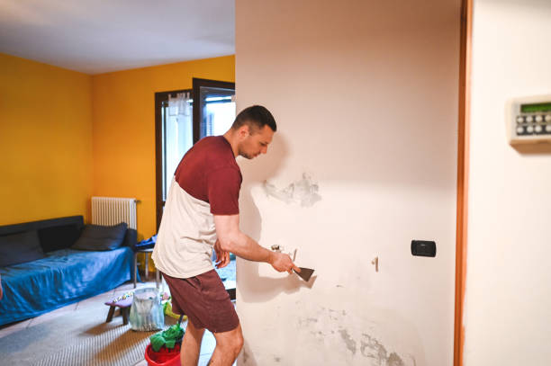 Best Toxic Mold Removal  in Hillsboro, KS