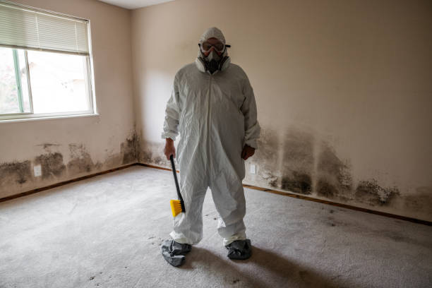 Best Mold Cleaning Services  in Hillsboro, KS